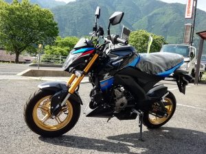 Z125PRO